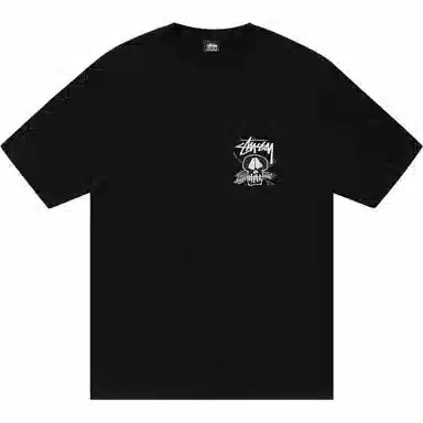 Stussy SS24 T