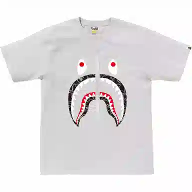 BAPE SS25 NEON CAMO T
