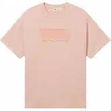 levis T