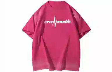 ZNTN LogoT