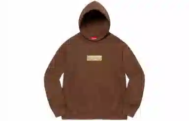 Supreme SS22 Week 1 Bling Box Logo Hooded Sweatshirt Logo