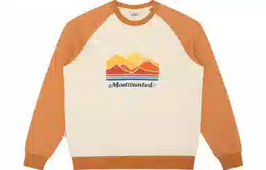 MostwantedLab