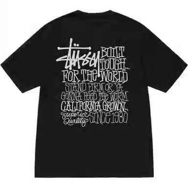 Stussy SS24 CALIFORNIA GROWN TEE PIGMENT DYED T