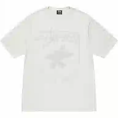 Stussy Beach Roots Tee