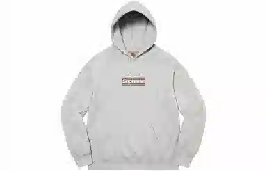 Supreme x Burberry Box Logo Hooded Sweatshirt