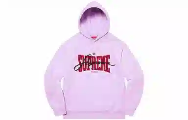 Supreme Embroidered Chenille Hooded Sweatshirt