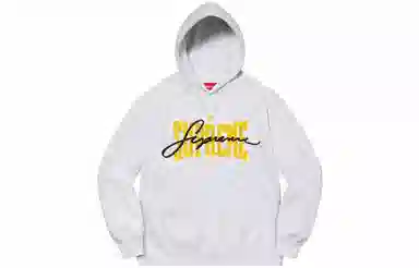 Supreme Embroidered Chenille Hooded Sweatshirt