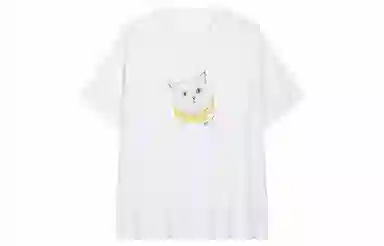 bosieagenderbosie2024T