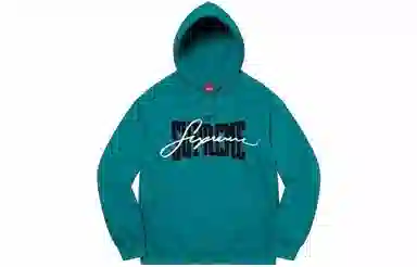 Supreme Embroidered Chenille Hooded Sweatshirt