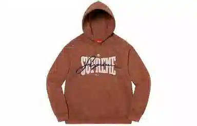 Supreme Embroidered Chenille Hooded Sweatshirt