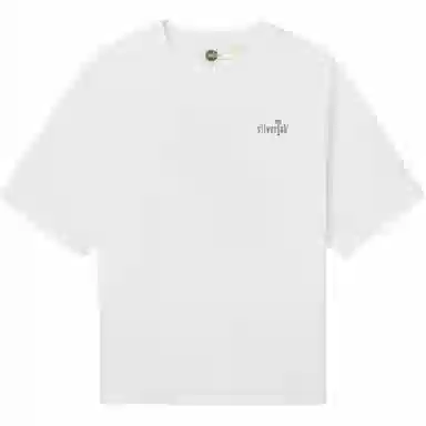 levis T