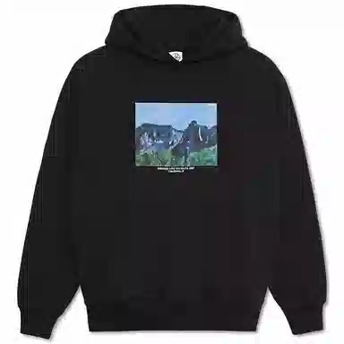 Polar Skate Co Hoodie Black