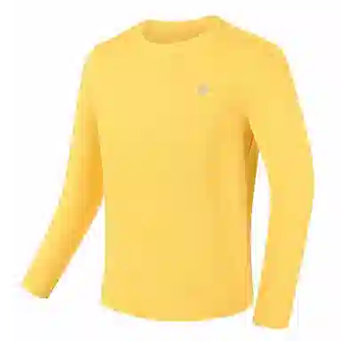 BMAI T