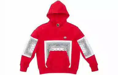 Supreme x The North Face Bandana Hooded Sweatshirt
