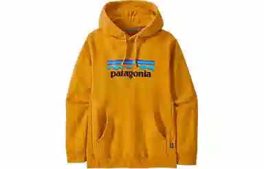 patagonia SS22 Logo