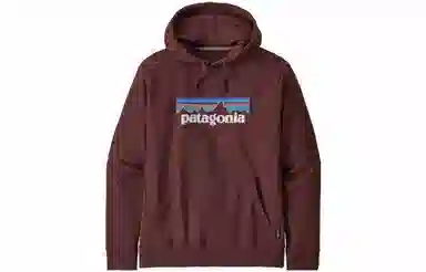 patagonia SS22 Logo