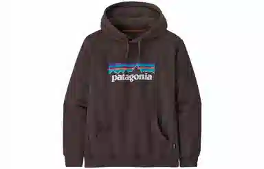 patagonia SS22 Logo