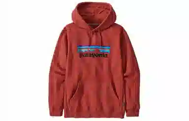 patagonia SS22 Logo