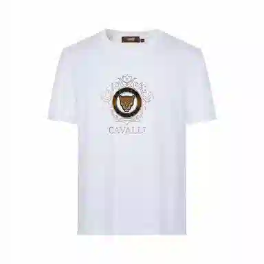 Cavalli Class T