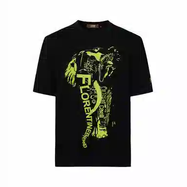 Cavalli Class T
