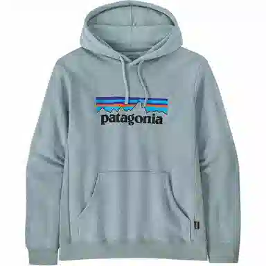 patagonia SS22 Logo