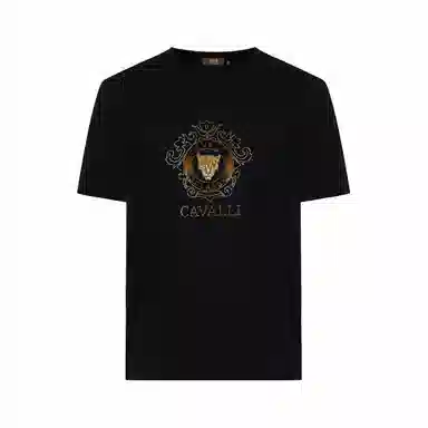 Cavalli Class T