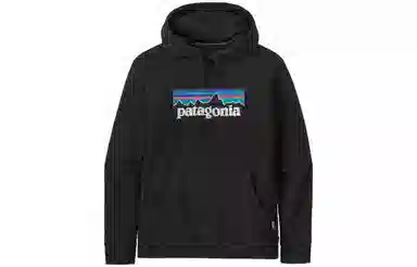 patagonia SS22 Logo