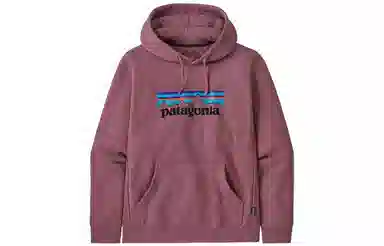 patagonia SS22 Logo