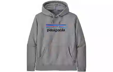 patagonia SS22 Logo