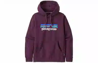 patagonia SS22 Logo