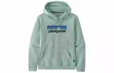 patagonia SS22 Logo