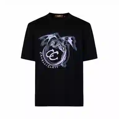 Cavalli Class T