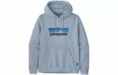patagonia SS22 Logo