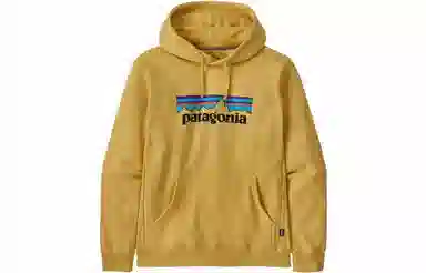 patagonia SS22 Logo