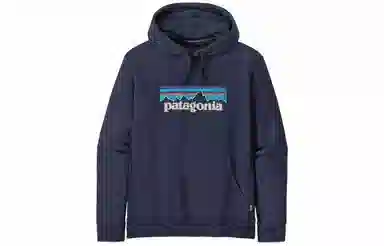 patagonia SS22 Logo