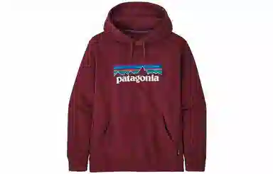patagonia SS22 Logo