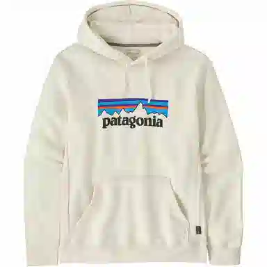 patagonia SS22 Logo