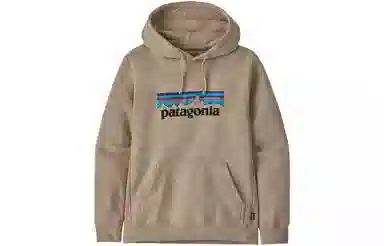patagonia SS22 Logo