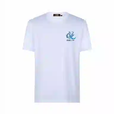 Cavalli Class T