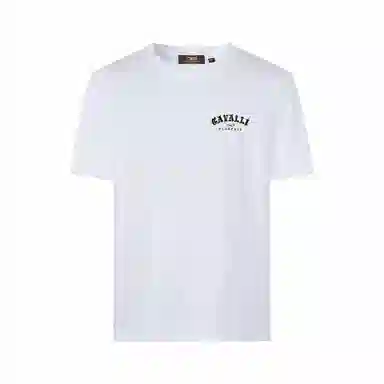 Cavalli Class T