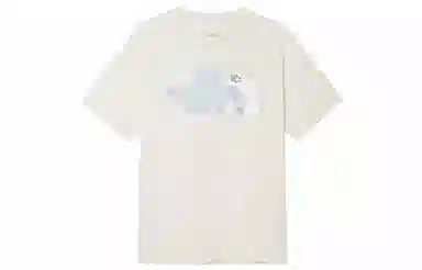 THE NORTH FACE Logo SS24T