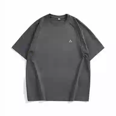 Hansca T