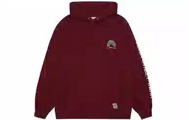 Vision Street Wear Flame Series Hoodie