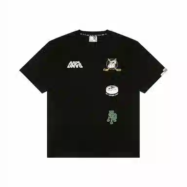 Aape T