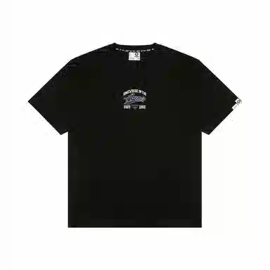 Aape T