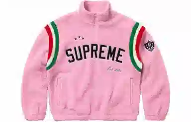 Supreme ARC Half Zip Fleece Pullover