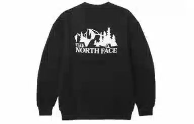 THE NORTH FACE FW22 Logo