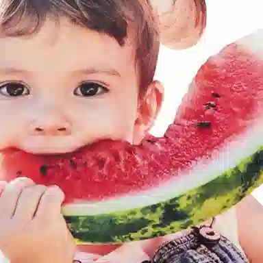 acme de la vieADLV T