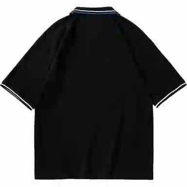 WELTER EXPERIMENT Polo