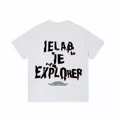 IE logoT